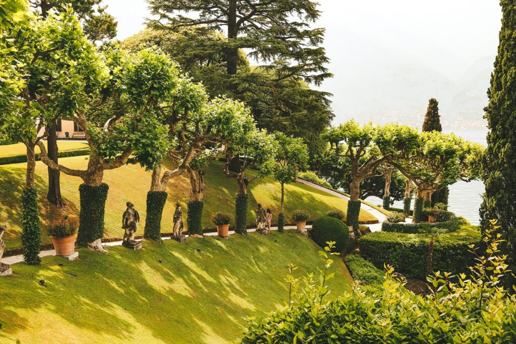 Family enjoying panoramic views from a hilltop in Lombardy countryside